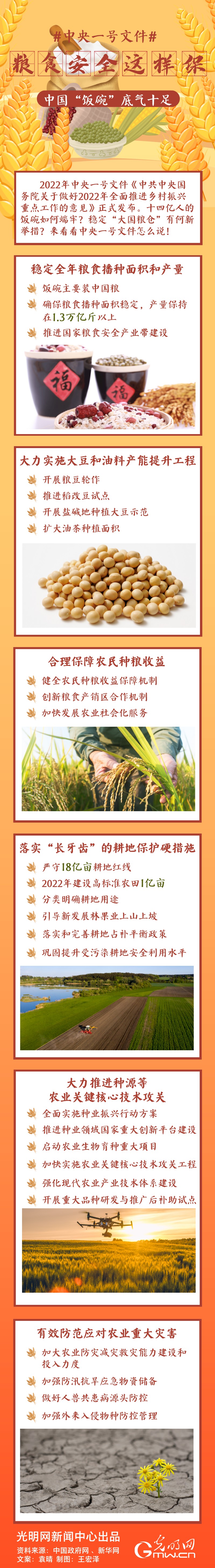 中央一號(hào)文件｜糧食安全這樣保，中國(guó)“飯碗”底氣十足