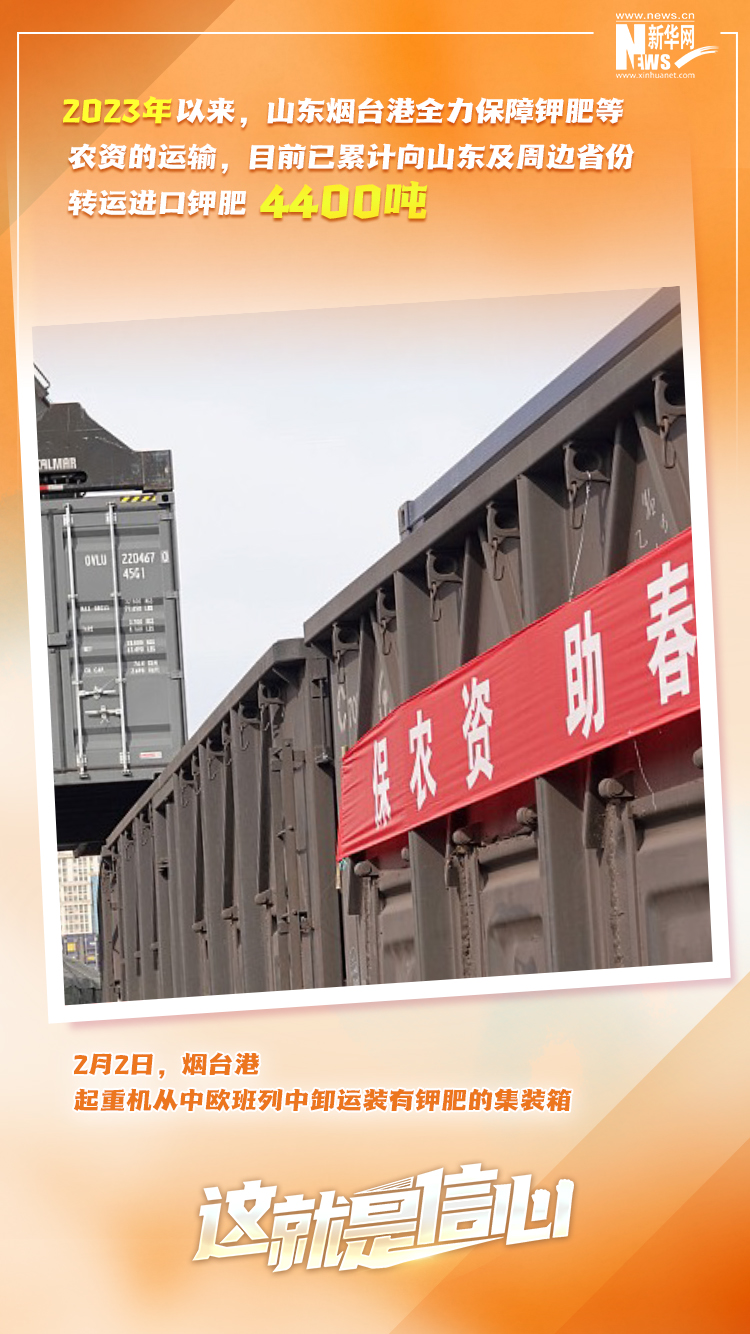 這就是信心｜實干爭春早，外貿樞紐貨運忙