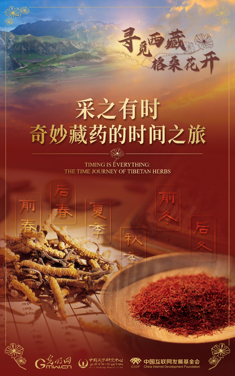 【尋覓西藏·格?；ㄩ_】采之有時(shí)：奇妙藏藥的時(shí)間之旅