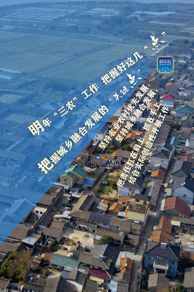 明年“三農(nóng)”工作，這幾個(gè)“點(diǎn)”要把握好