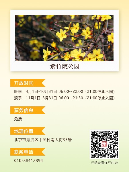 追花指南第二期！京城三月里最撩人的玉蘭觀賞地