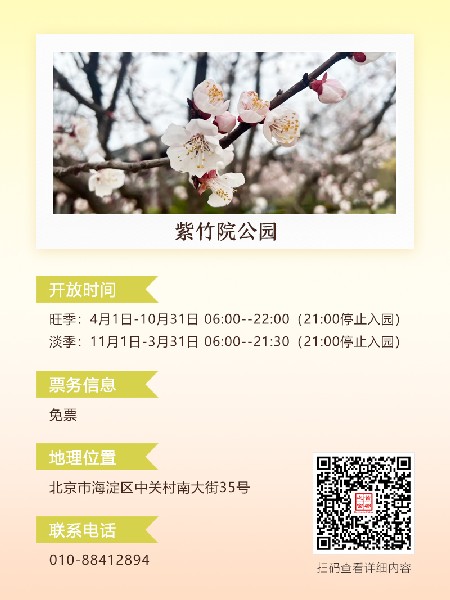 追花指南第六期！杏花雨 楊柳風(fēng) 北京最美的杏花在這里
