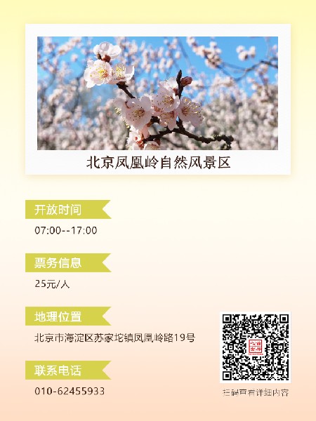 追花指南第六期！杏花雨 楊柳風(fēng) 北京最美的杏花在這里