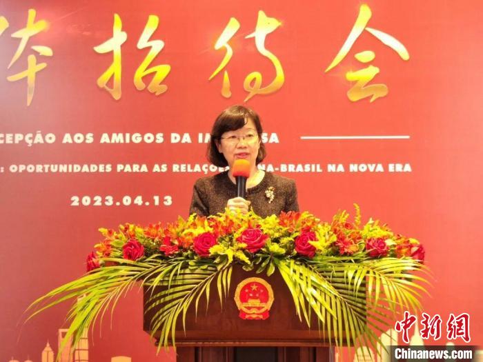 巴西學者專家熱議“中國式現(xiàn)代化對新時期中巴關(guān)系的機遇”