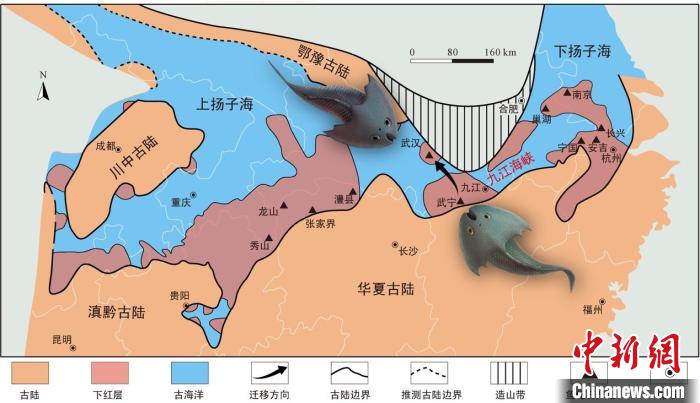 華南地區(qū)志留紀早期古地理圖和盔甲魚類化石產(chǎn)地(山顯任改自陳旭、戎嘉余，1996；戎嘉余等，2012) 中科院古脊椎所 供圖