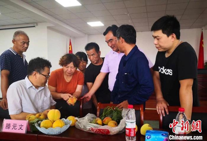 民進(jìn)浙江省委會為三里橋黃桃種植戶送技術(shù)、送指導(dǎo)?！〖紊平y(tǒng)戰(zhàn) 供圖