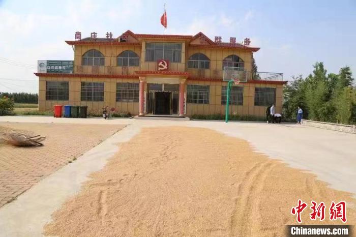 農民在邳莊鎮(zhèn)尚莊村黨群服務中心大院里曬糧?！≠Z萌 攝