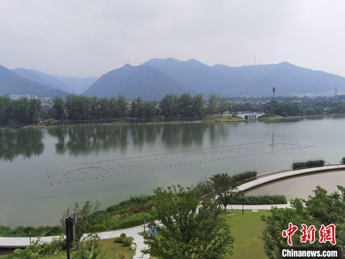 兩岸媒體共探杭州亞運會“綠”在何處？