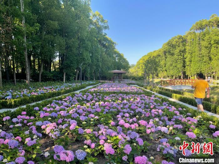 納民意、匯民智上海努力讓“公園城市”建設真正“合民心”