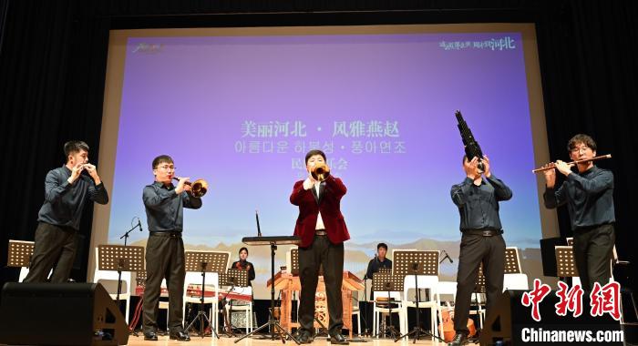 圖為音樂(lè)會(huì)現(xiàn)場(chǎng)?！∈谞栔袊?guó)文化中心供圖