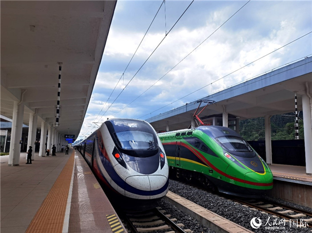 “復(fù)興號”和“瀾滄號”國際旅客列車?？吭诶蠐肽ザ≌?。人民網(wǎng) 杜明明攝
