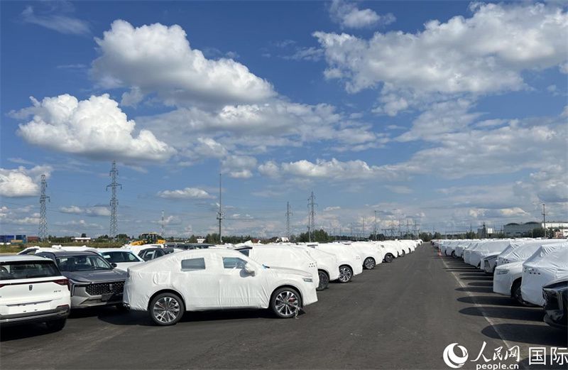 莫斯科別雷拉斯特物流中心內(nèi)的中國品牌汽車。人民網(wǎng)記者 申佳平攝