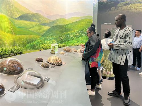   （在中國藥都中醫(yī)藥博物館，外媒記者了解中醫(yī)藥發(fā)展史。中國經(jīng)濟周刊記者 郭志強 攝）