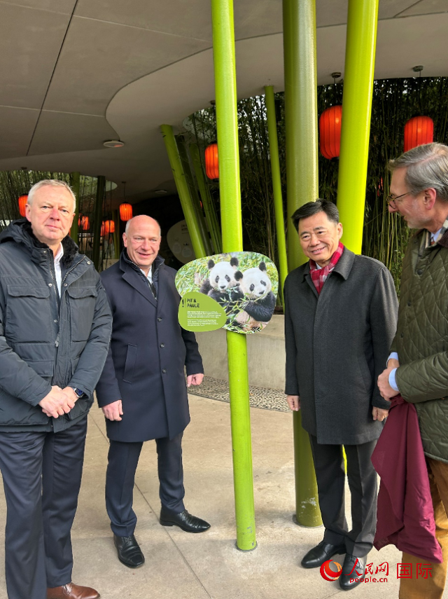 中國(guó)駐德國(guó)大使吳懇（右二）、柏林市長(zhǎng)韋格納（左二）、動(dòng)物園園長(zhǎng)克尼里姆（右一）和監(jiān)事會(huì)主席布魯克曼（左一）共同為“夢(mèng)想”“夢(mèng)圓”大熊貓紀(jì)念牌揭幕。人民網(wǎng)記者 徐馨攝