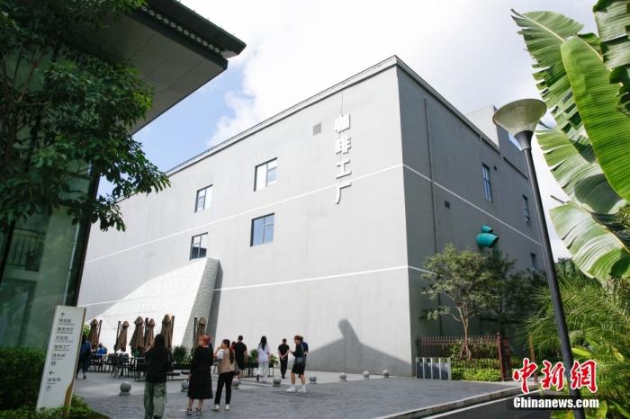 圖為采訪團一行參觀咖啡工廠。 曹淼欣 攝