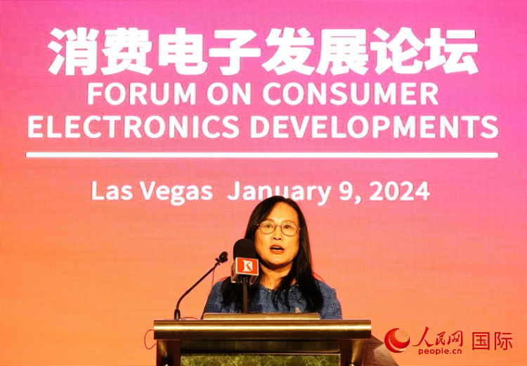 中國機電產(chǎn)品進(jìn)出口商會副會長劉春致辭。人民網(wǎng)記者 鄧圩攝