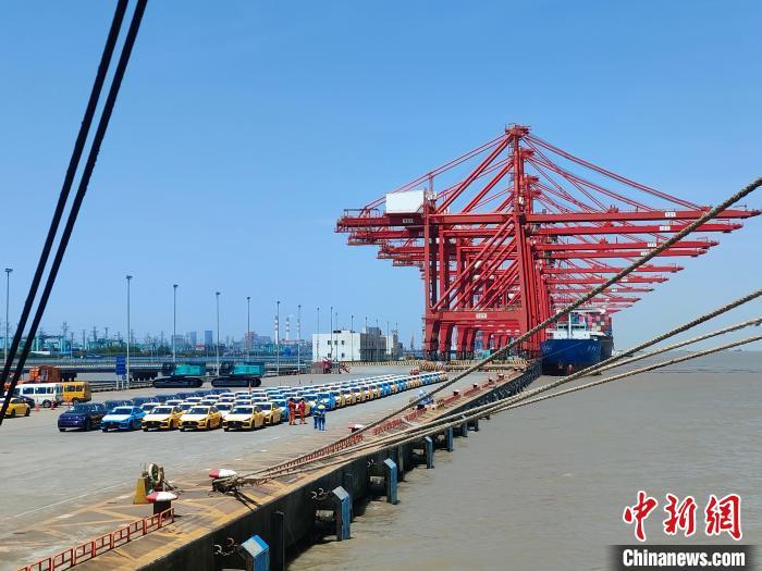 資料圖：國(guó)產(chǎn)新能源車在上海外高橋港區(qū)海通碼頭“整裝待發(fā)”?！∑址?攝