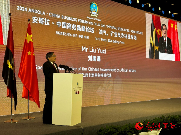 中國(guó)政府非洲事務(wù)特別代表劉禹錫。人民網(wǎng)記者 張榮攝
