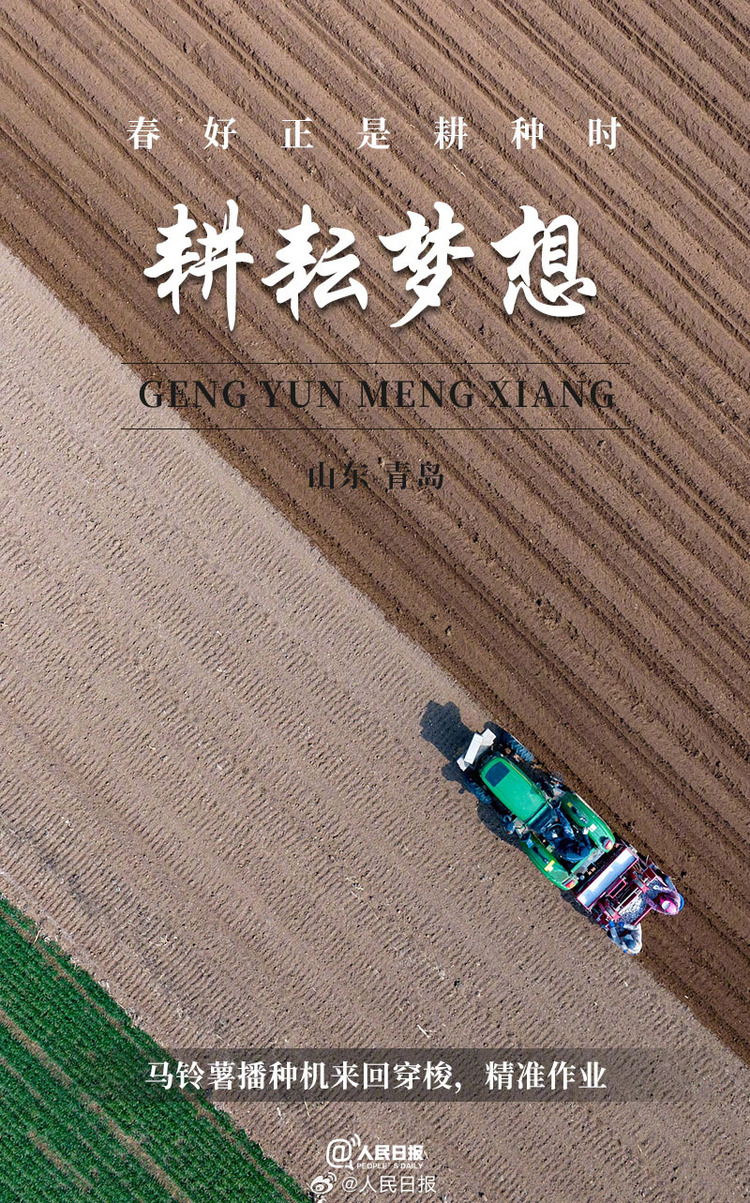 生機盎然！用課本封面打開春耕畫卷