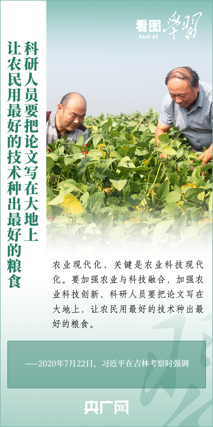 看圖學習丨推廣良田、良種、良法、良機 給農(nóng)業(yè)現(xiàn)代化插上科技的翅膀
