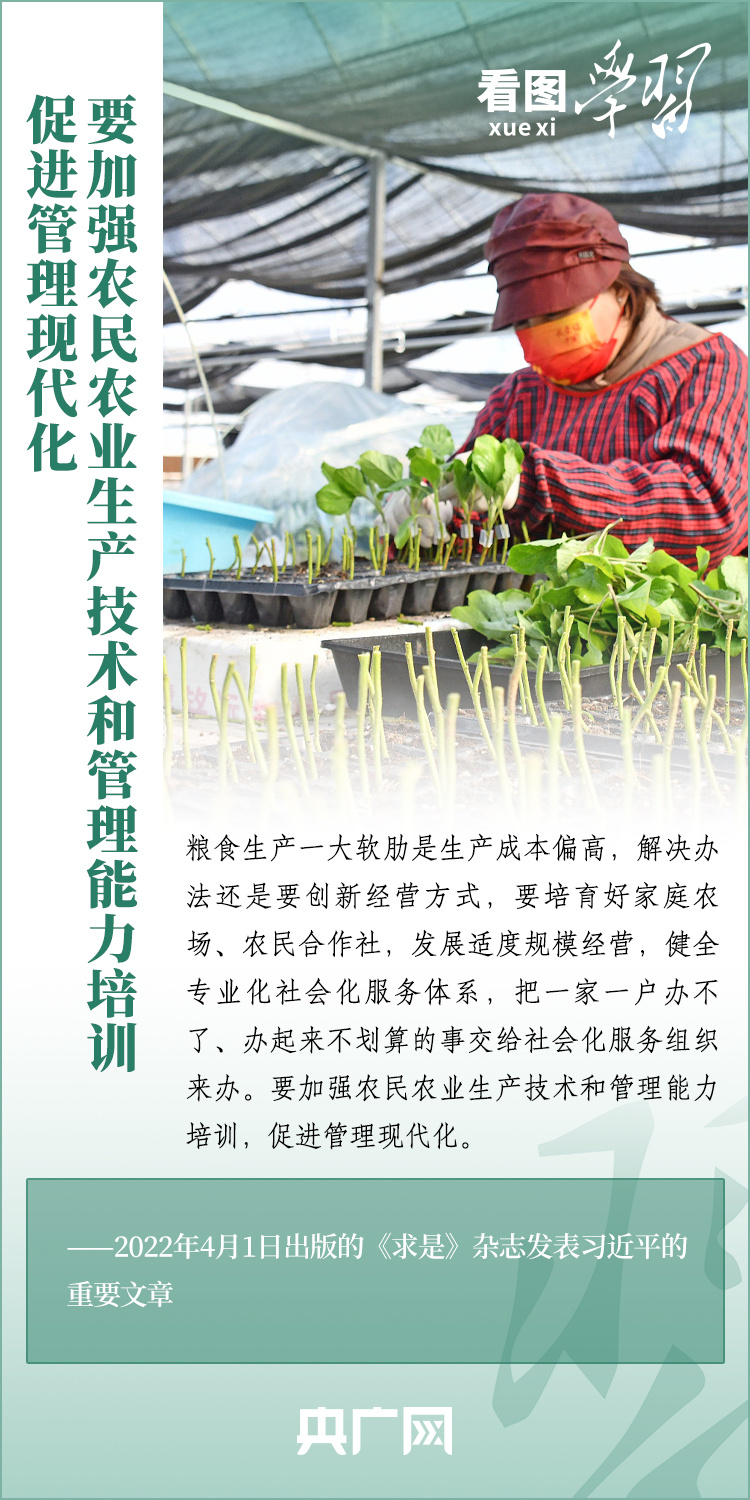 看圖學習丨推廣良田、良種、良法、良機 給農(nóng)業(yè)現(xiàn)代化插上科技的翅膀