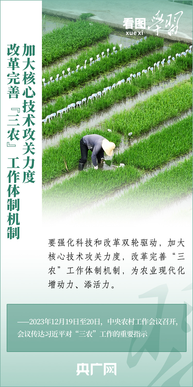 看圖學習丨推廣良田、良種、良法、良機 給農(nóng)業(yè)現(xiàn)代化插上科技的翅膀