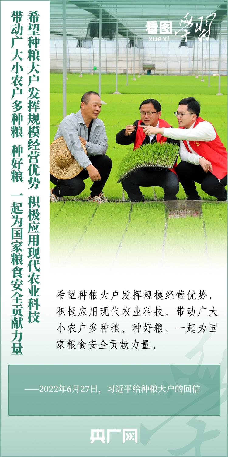 看圖學習丨推廣良田、良種、良法、良機 給農(nóng)業(yè)現(xiàn)代化插上科技的翅膀