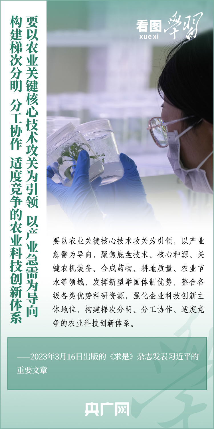 看圖學習丨推廣良田、良種、良法、良機 給農(nóng)業(yè)現(xiàn)代化插上科技的翅膀