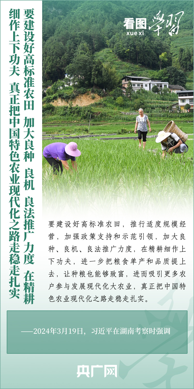 看圖學習丨推廣良田、良種、良法、良機 給農(nóng)業(yè)現(xiàn)代化插上科技的翅膀