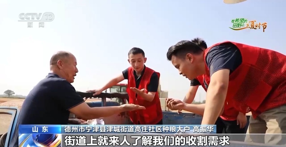 “三夏”生產(chǎn)思維導(dǎo)圖安排上了！還有政府大院等你來(lái)“曬”