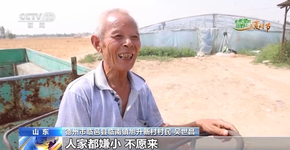 “三夏”生產(chǎn)思維導(dǎo)圖安排上了！還有政府大院等你來(lái)“曬”