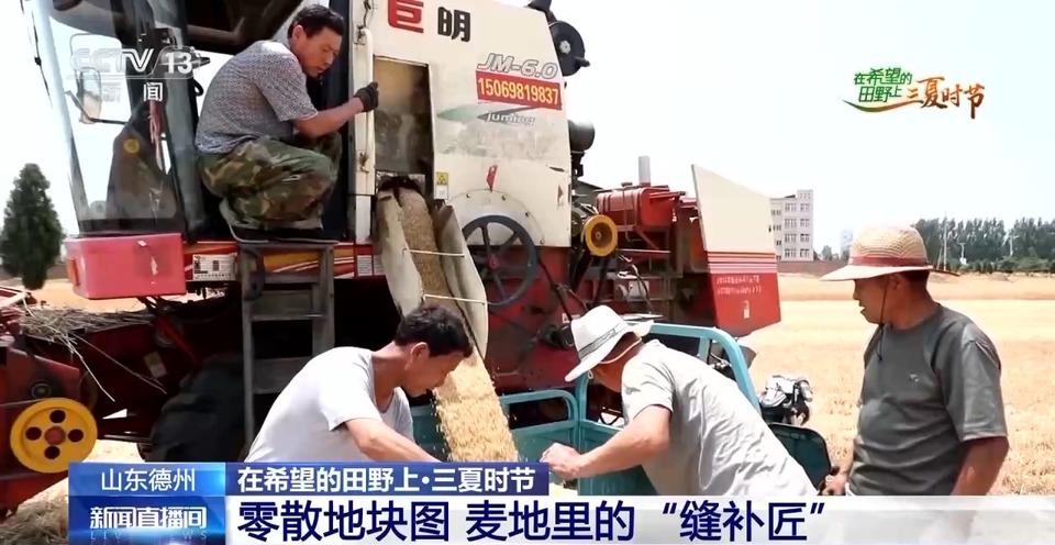 “三夏”生產(chǎn)思維導(dǎo)圖安排上了！還有政府大院等你來(lái)“曬”