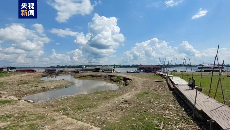受旱情及火災(zāi)影響 巴西亞馬孫州多地進入緊急狀態(tài)