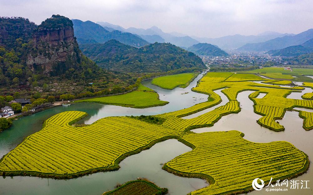 3月28日，航拍浙江省臨海市桃渚鎮(zhèn)桃江十三渚盛開的油菜花景色。人民網(wǎng) 章勇濤攝