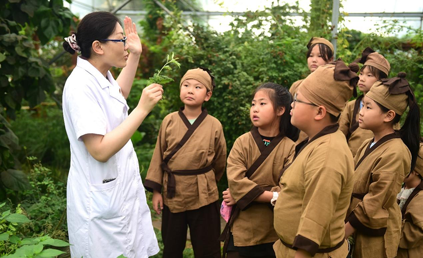 參加活動的孩子聆聽滄州市人民醫(yī)院國醫(yī)館中醫(yī)對中藥材的講解。 傅新春攝