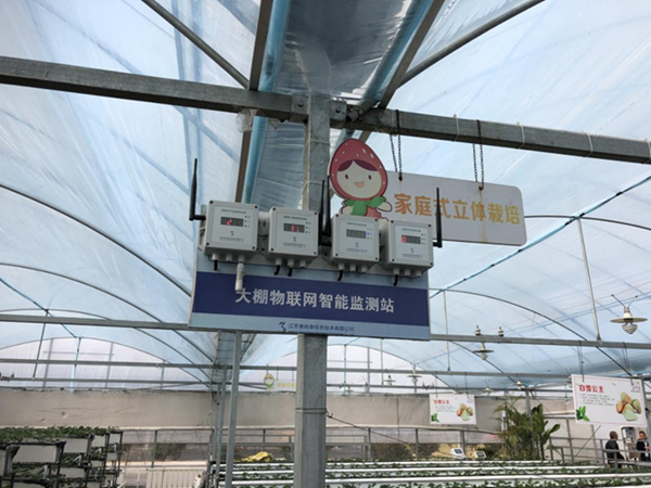 都市四季果園內(nèi)的物聯(lián)網(wǎng)智能監(jiān)測(cè)站系統(tǒng)。東海縣委宣傳部供圖