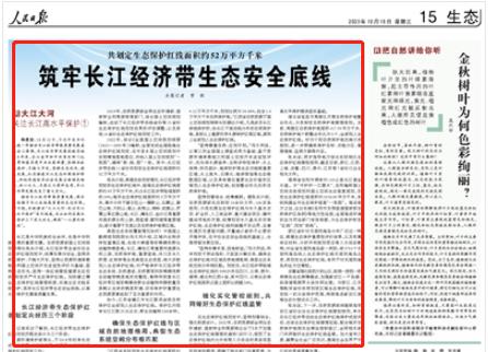 人民日報。截圖