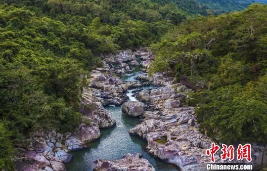2018年海南生態(tài)環(huán)境狀況等級為“優(yōu)”，植被覆蓋率高，生物多樣性豐富，生態(tài)系統(tǒng)穩(wěn)定，圖為海南中部熱帶雨林?！●樤骑w　攝