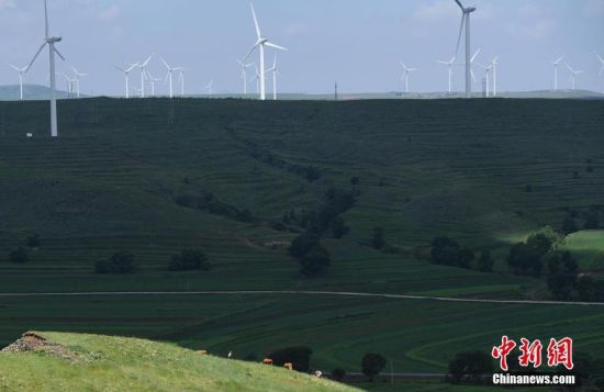 6月28日，河北張家口張北草原上大片風力發(fā)電的“風車”規(guī)模宏大。 中新社記者 楊艷敏 攝
