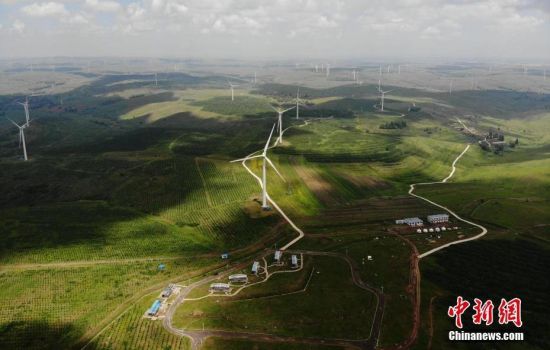 6月28日，河北張家口張北草原上大片風力發(fā)電的“風車”規(guī)模宏大。 中新社記者 楊艷敏 攝