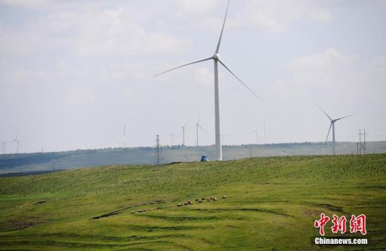 6月28日，河北張家口張北草原上大片風力發(fā)電的“風車”規(guī)模宏大。 中新社記者 楊艷敏 攝