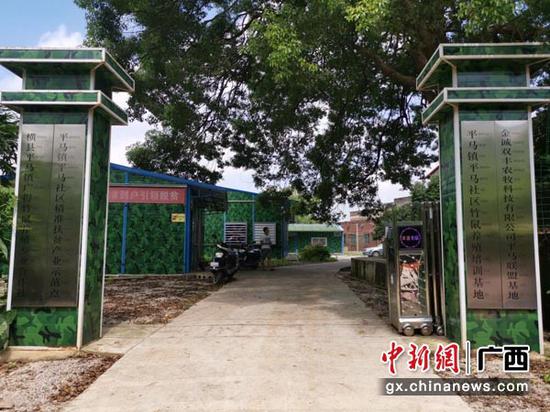 圖為平馬社區(qū)竹鼠養(yǎng)殖基地。