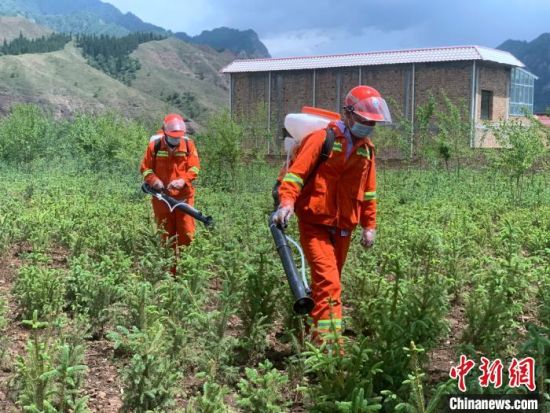 圖為觀摩會現(xiàn)場背負(fù)式電動噴霧演練。　李江寧　攝 　　