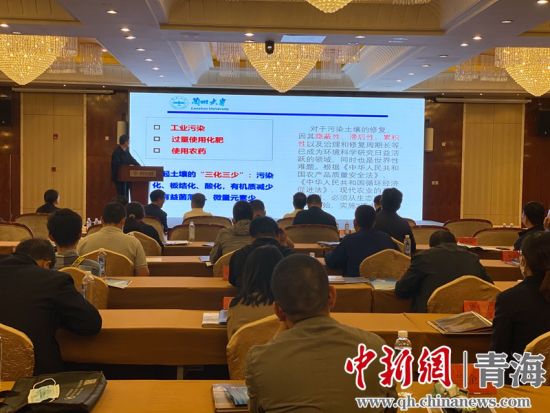 圖為論壇現(xiàn)場。李江寧攝