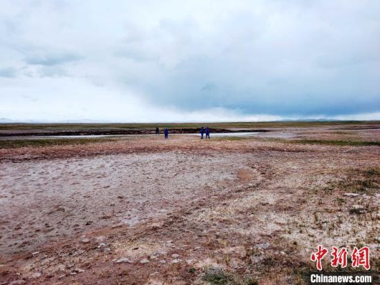 圖為救援力量在青海省西部搜救失聯(lián)的江蘇南京某大學(xué)女生黃某某。海西州藍(lán)天應(yīng)急救援中心 供圖