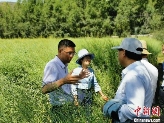 圖為九三學(xué)社青海省委主委杜德志(左一)在基層調(diào)研。受訪者供圖