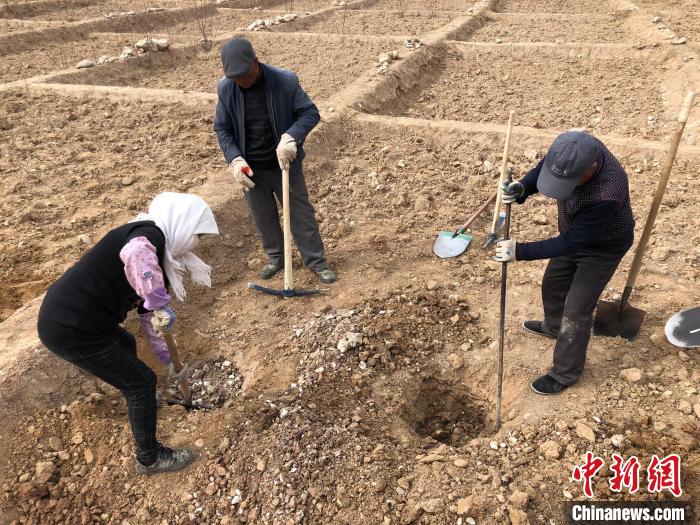 資料圖為建行青海省分行綠化區(qū)施工隊(duì)隊(duì)員處理亂石?！〗ㄐ星嗪Ｊ》中泄﹫D