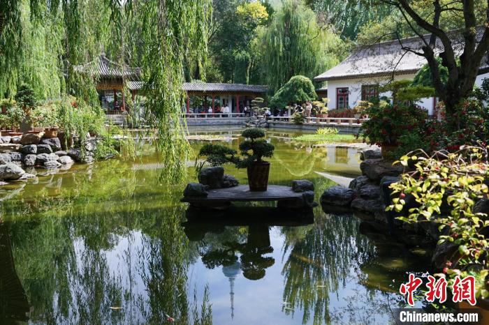 圖為西寧園林植物園秋日風景別有韻味?！●R銘言 攝