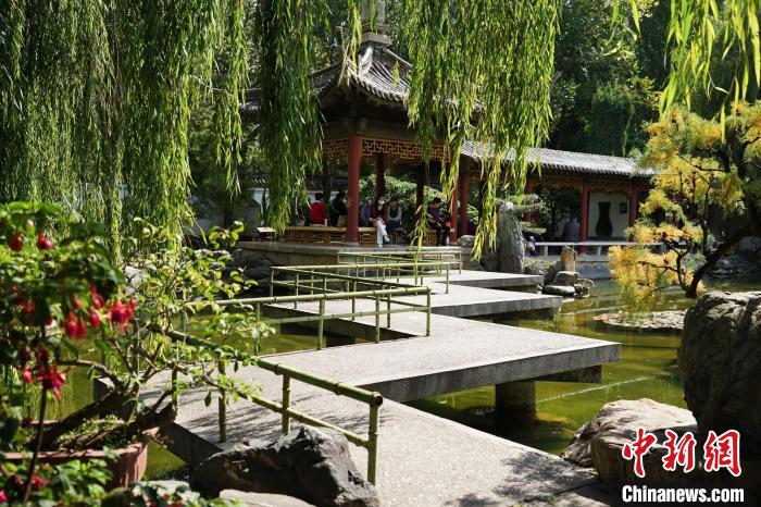 圖為西寧園林植物園秋日風景別有韻味?！●R銘言 攝