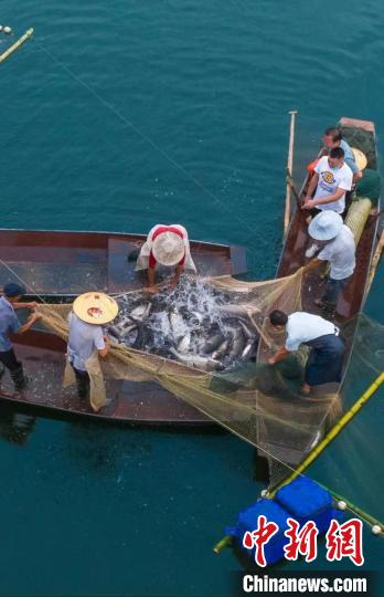 捕魚現(xiàn)場。　主辦方供圖